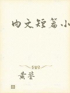 肉文短篇小说封面