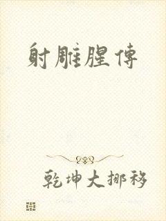 射雕腥传封面