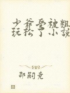 少爷受被粗汉H玩松了小说