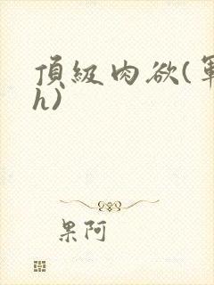 顶级肉欲(军高h)