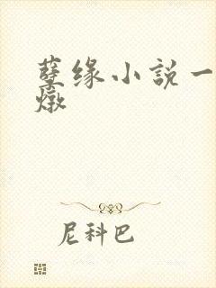 孽缘小说一家乱炖