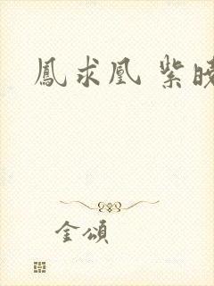 凤求凰 紫晓封面