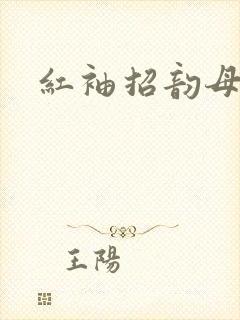 红袖招韵母攻略