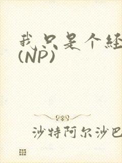 我只是个经纪人(NP)封面