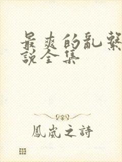 最爽的乱系列小说全集封面