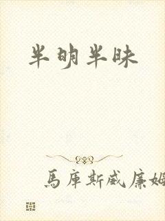 半明半昧