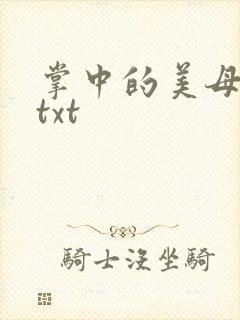 掌中的美母版主txt