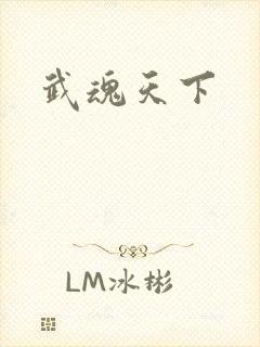武魂天下