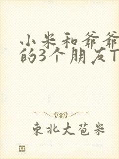 小米和爷爷和他的3个朋友TXT封面