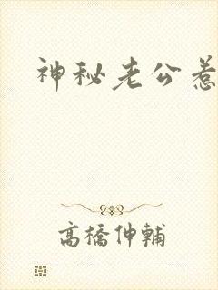 神秘老公惹不起