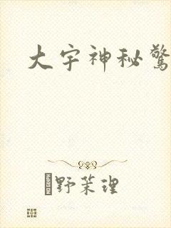 大宇神秘惊奇封面