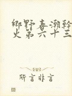 乡野春潮干柴烈火第六十三章封面