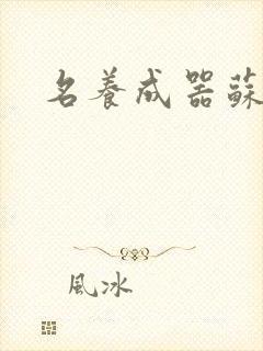 名养成器苏沫沫