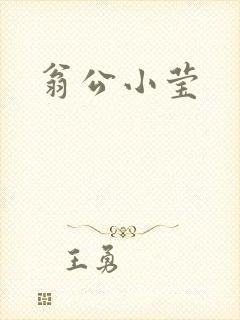 翁公小莹封面