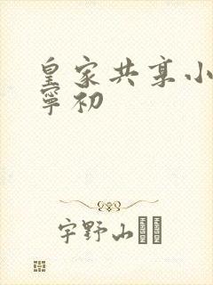 皇家共享小公主宁初