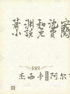 萧渊和沈安安的小说免费阅读