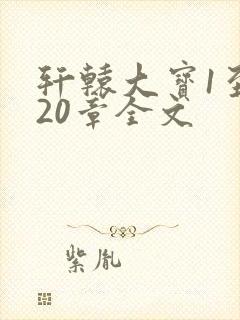 轩辕大宝1至720章全文