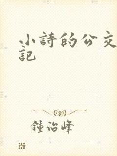 小诗的公交车日记封面