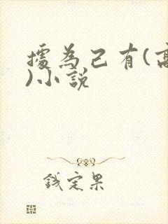 据为己有(高干)小说封面