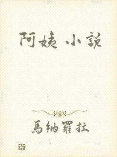 阿姨 小说