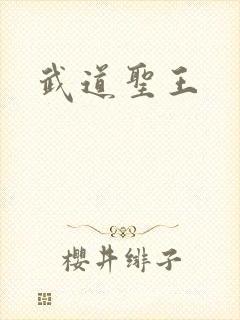 武道圣王