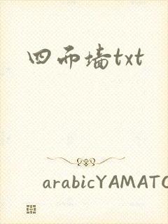 四面墙txt
