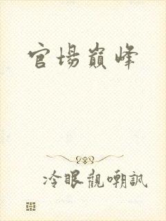 官场巅峰封面