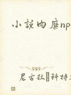小说肉糜np