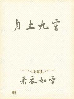 月上九霄封面