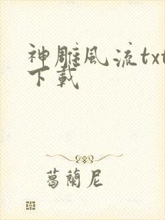 神雕风流txt下载