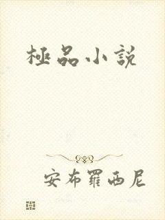 极品小说