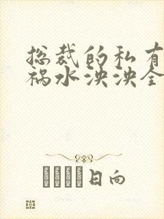 总裁的私有宝贝祸水泱泱全文阅读