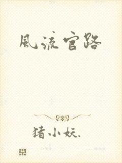 风流官路