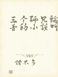 三个师兄轮流上音的小说叫什么