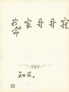 我家哥哥宠妹如命