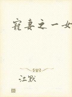 宠妻之一女二夫