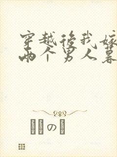 穿越后我嫁给了两个男人暮色酒歌封面