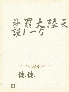 斗罗大陆天狂传说1一5