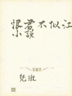 恨君不似江楼月小说