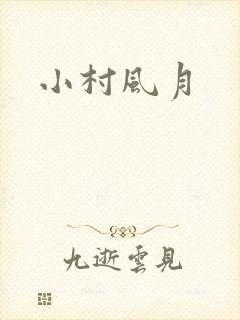 小村风月封面