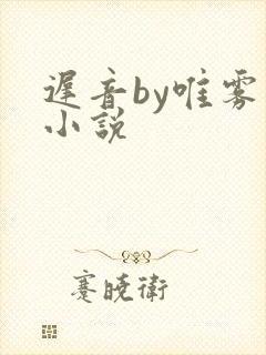 迟音by唯雾的小说