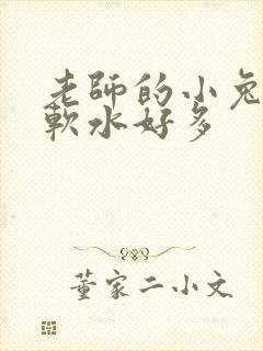 老师的小兔子好软水好多