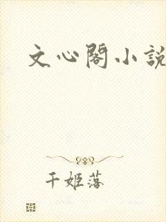 文心阁小说