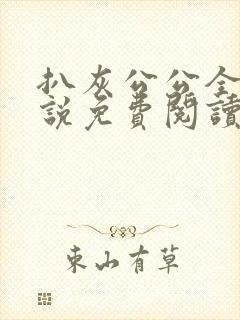 扒灰公公全部小说免费阅读全文