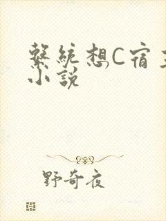 系统想C宿主的小说