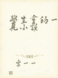 学生会的一己之见小说