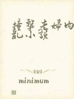 撞击老妇肉体之乱小说封面