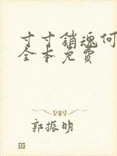 寸寸销魂何生祥全本免费