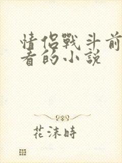 情侣战斗前适合看的小说封面