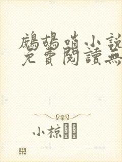 鹧鸪哨小说网站免费阅读无弹窗